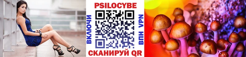 где продают   Кяхта  Галлюциногенные грибы Psilocybine cubensis 